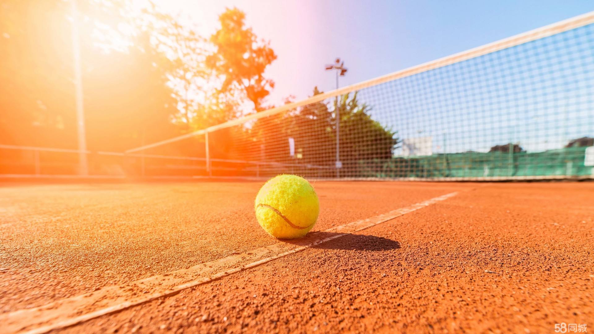 场球迷的激 场球迷的激