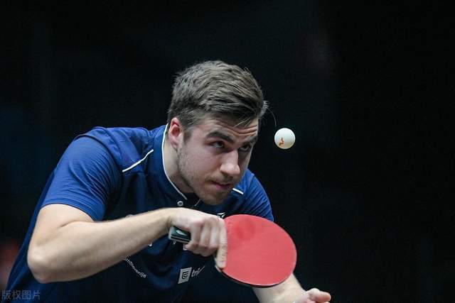 智慧与勇气 智慧与勇气