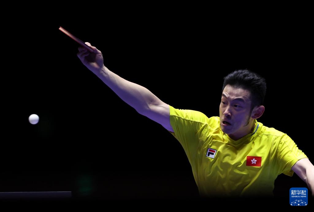 队的重要性 队的重要性